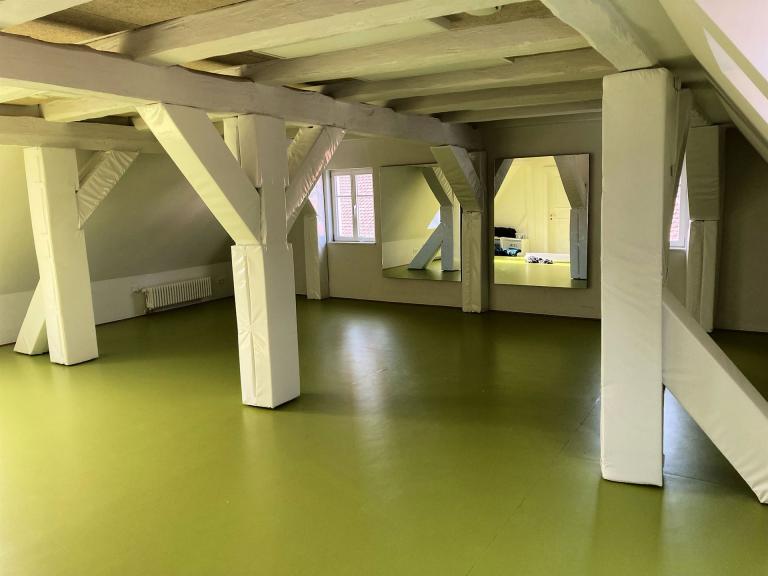 Balkenverkleidung im Mehrzweckraum - Prallschutz und Säulenschutz