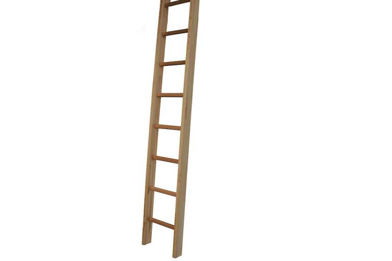 In Ihrem Kindergarten, Ihrer Schule oder Therapie: Kletterleiter zum Anlehnen oder Anschließen an Sprossenwände und andere Sportgeräte.