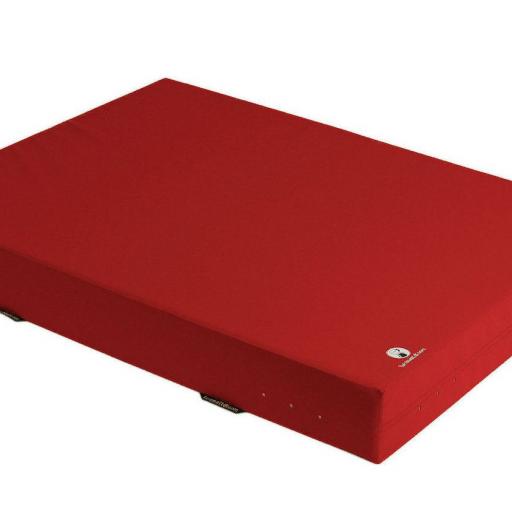 Weichboden ROT - eine lohnenswerte Investition für Ihren Sportverein.